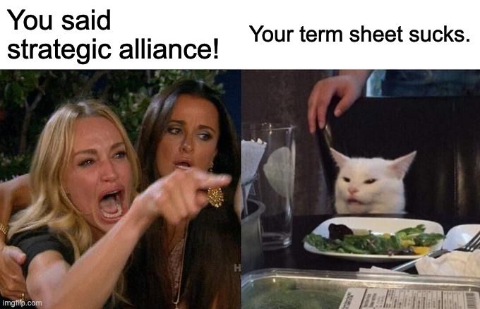 Meme. Lady yelling at cat. Lady says, "you said strategic alliance!" Cat says, "your term sheet suck."