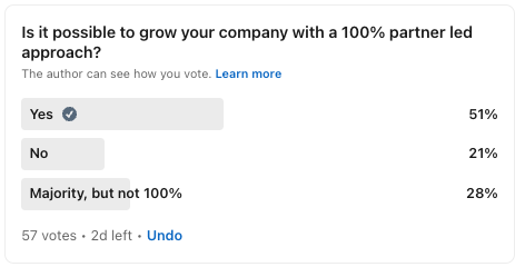 Can you grow your company with a 100% partner led approach?