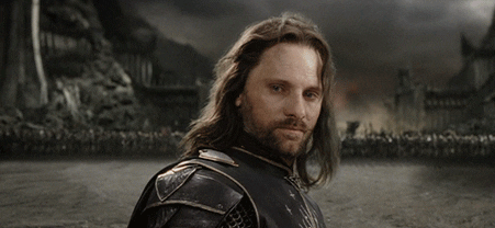 Aragorn saying yolo and heading into the abyss!